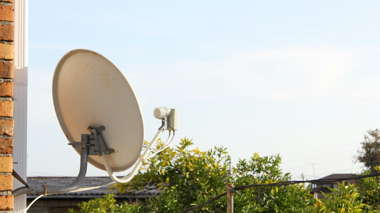 Antena satelitarna z konwerterem na ścianie domu z cegły, w tle zielone drzewa i jasne niebo